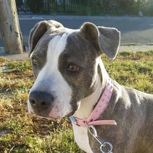 Meet your Posher, Alexandra